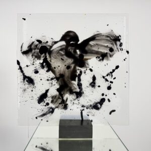 Nabo Gass, Rising Bird, 46 x 46 cm, 2026